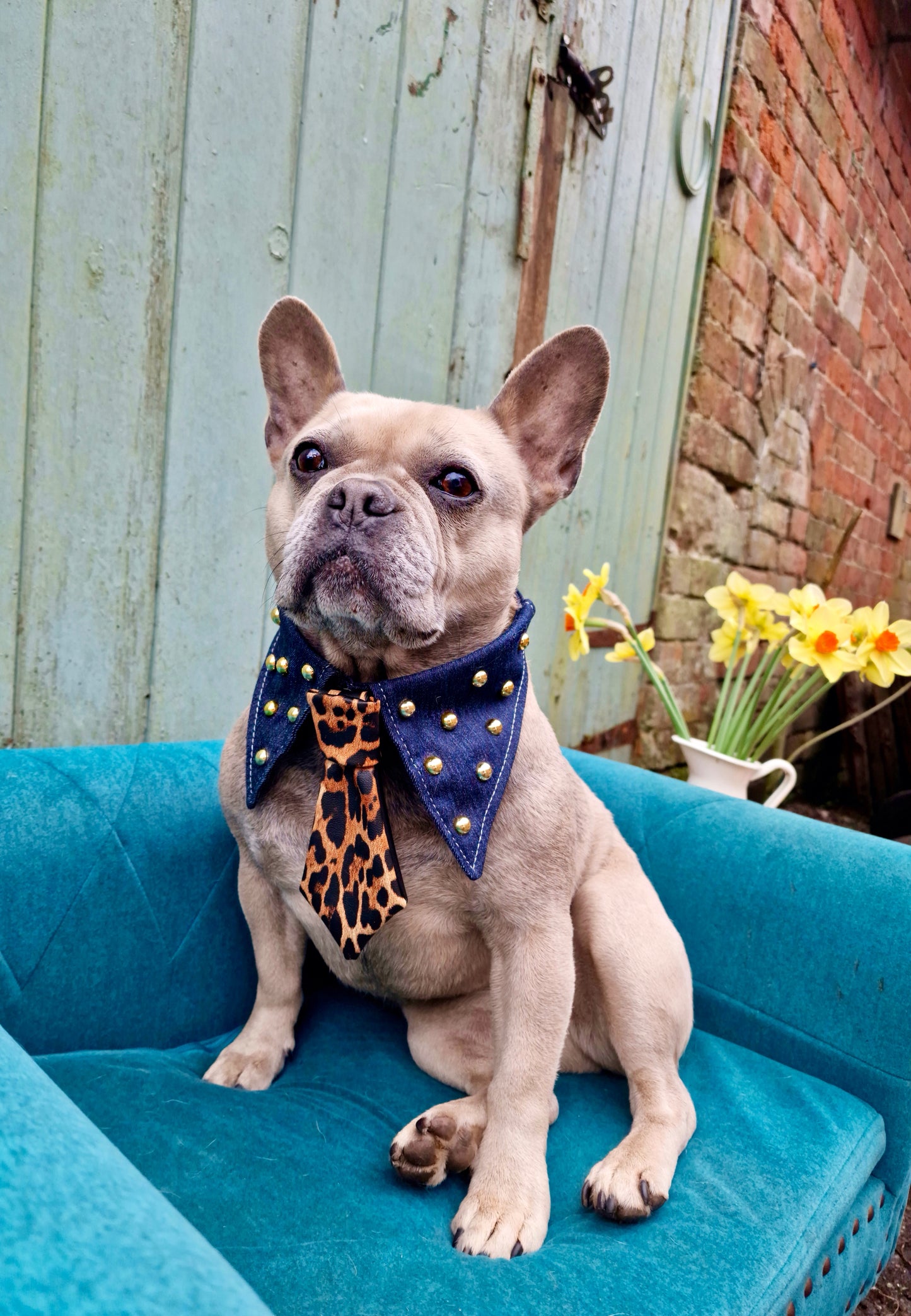 The denim day collar and tie set -The interchangeable tie system