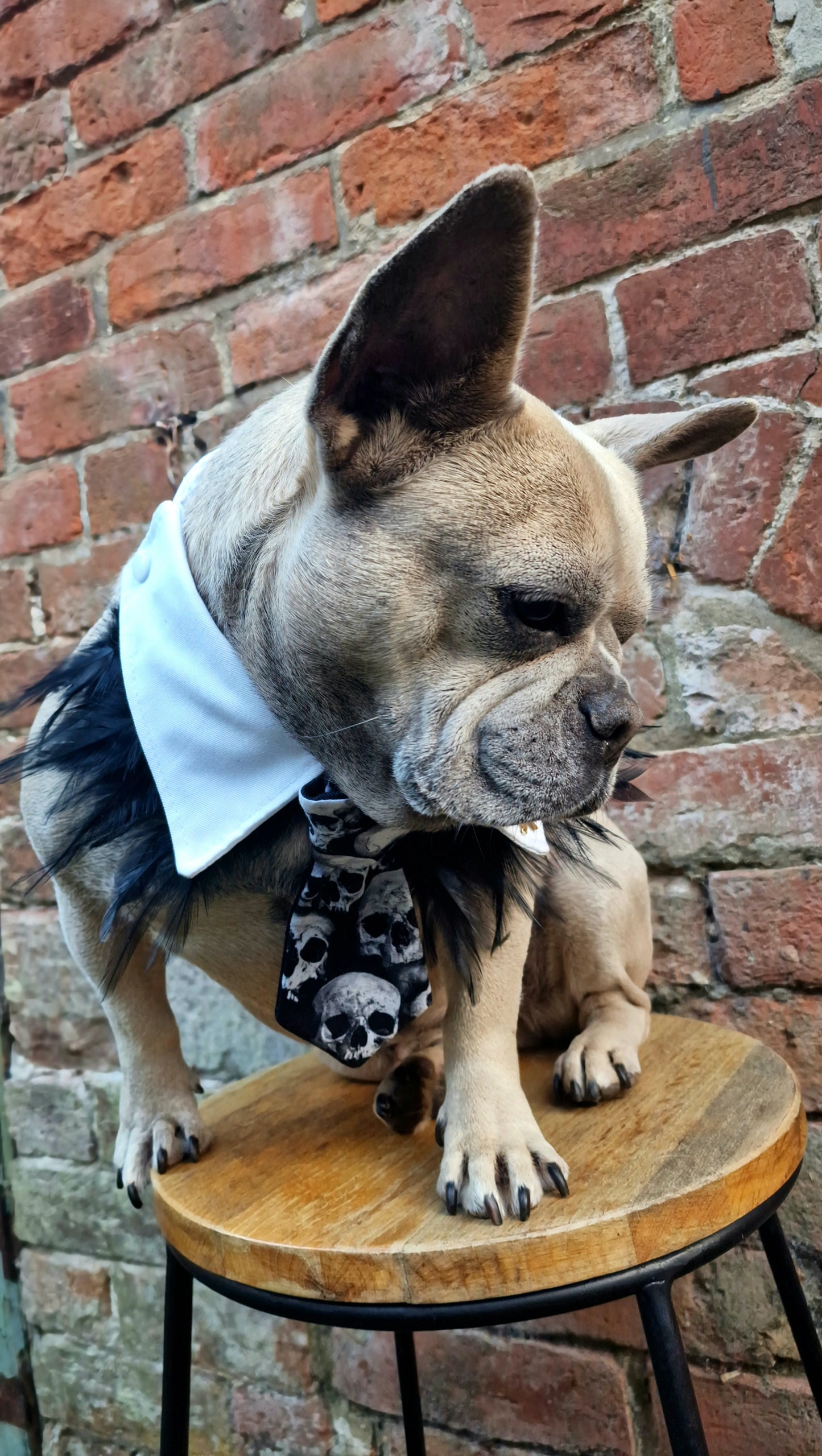 The Skull tie - The interchangeable tie system