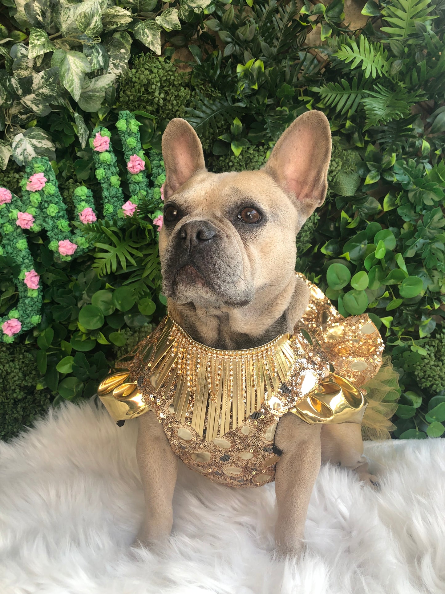 Gold fringe choker