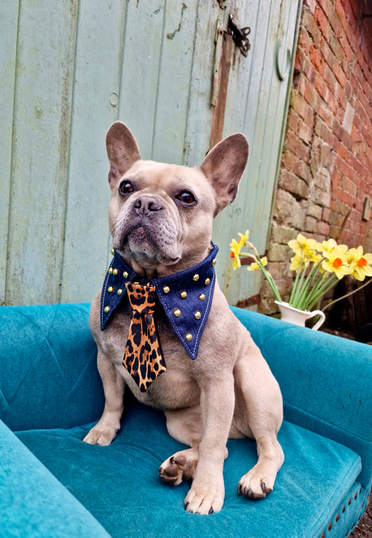 The denim day collar and tie set -The interchangeable tie system