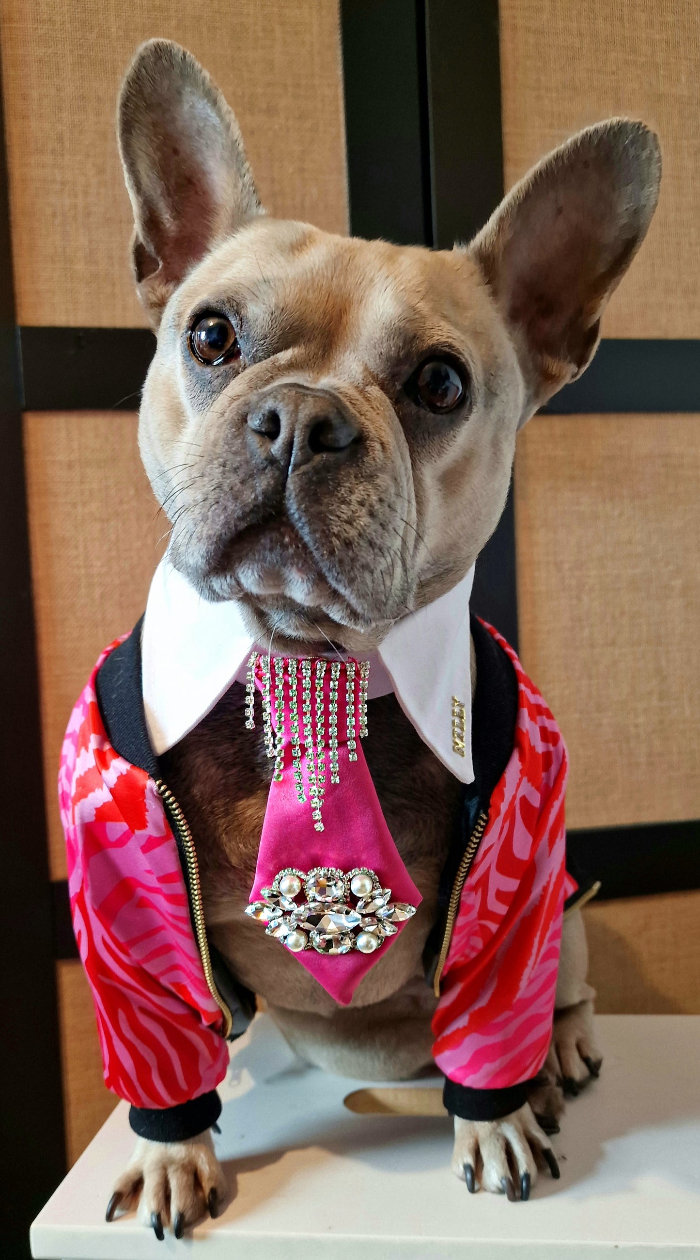 Material Girl collar and tie