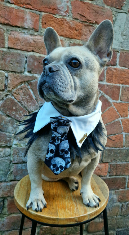 The Skull tie - The interchangeable tie system