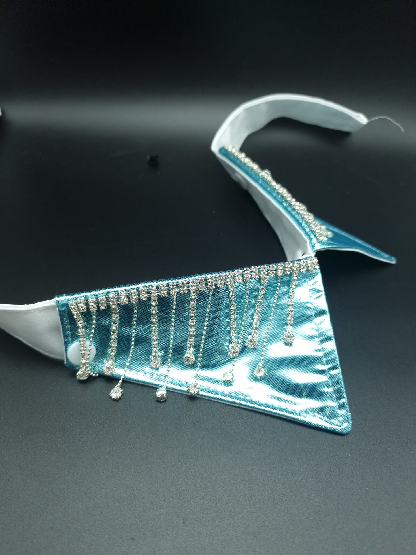 Metallic ice collar ONLY - The interchangeable System