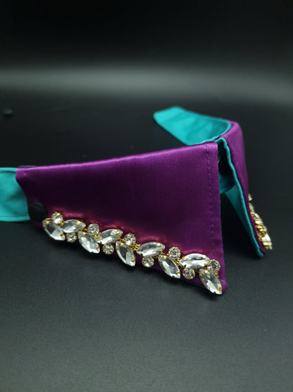 Purple choc collar ONLY - The interchangeable System