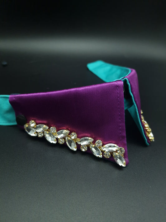 Purple choc collar ONLY - The interchangeable System
