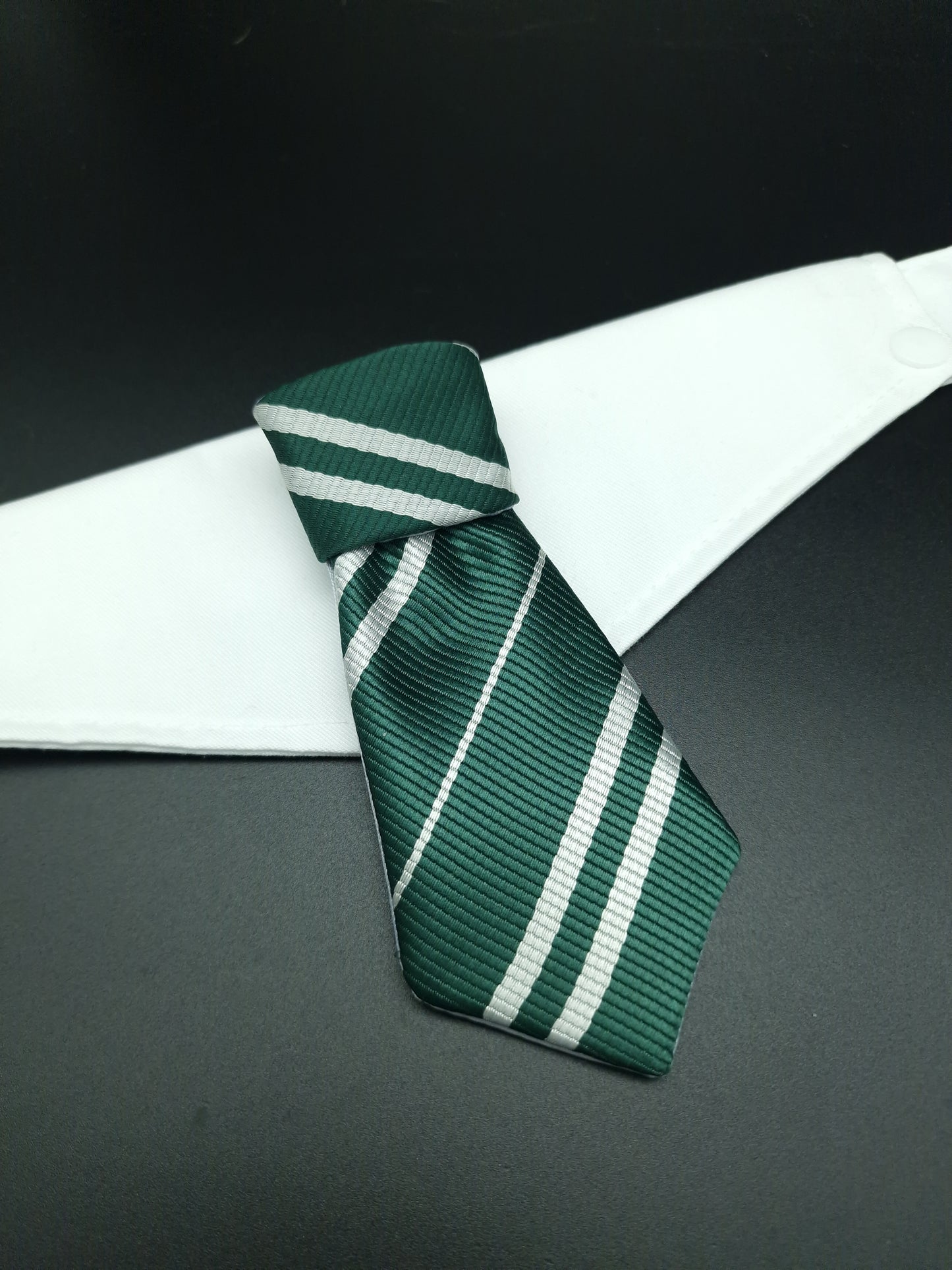 Green school tie ONLY - The interchangeable System
