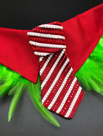 The Candy Stripe Tie - The interchangeable System