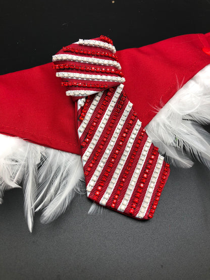 The Candy Stripe Tie - The interchangeable System