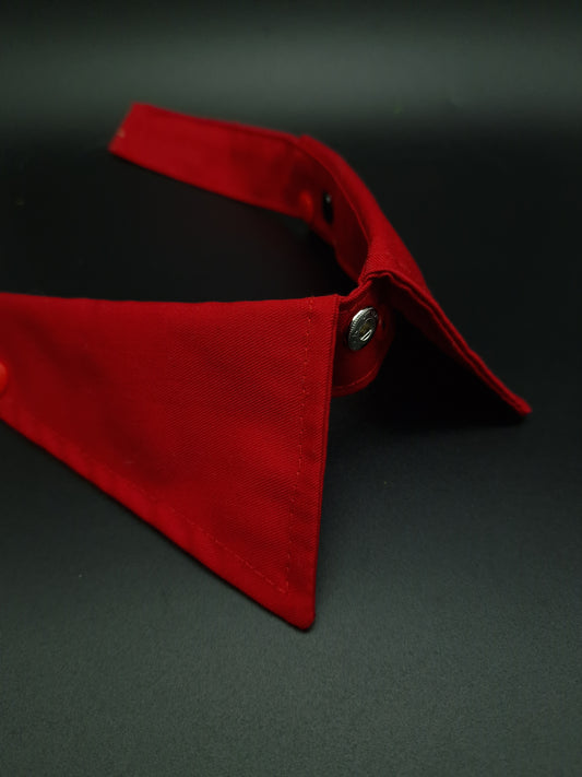 Red collar ONLY - The interchangeable System