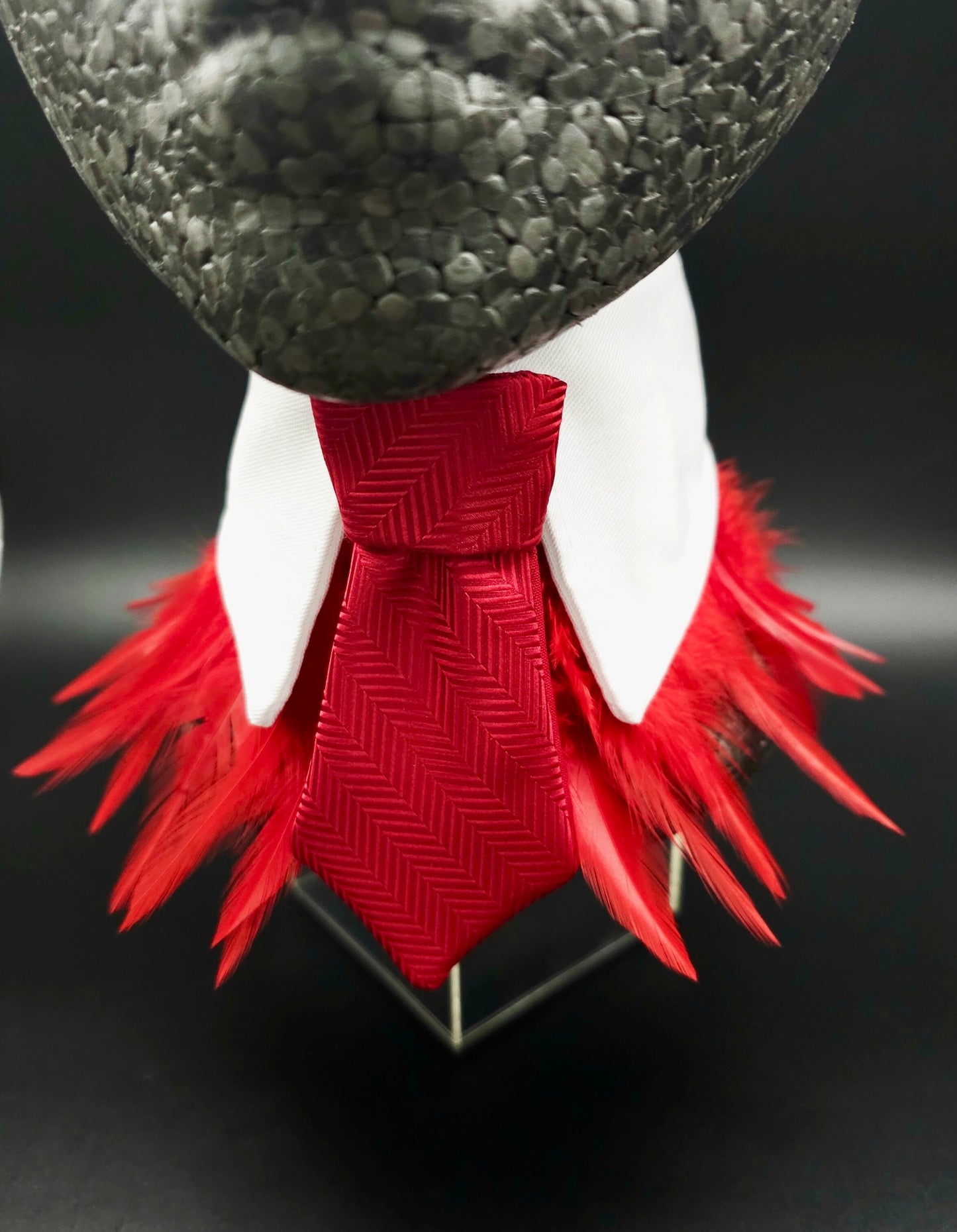 Red striped Tie only - The interchangeable System