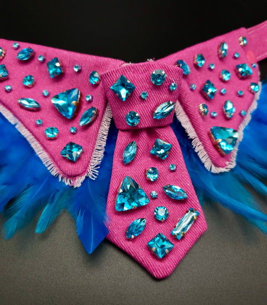 Pink and acqua denim collar and tie set- The interchangeable System