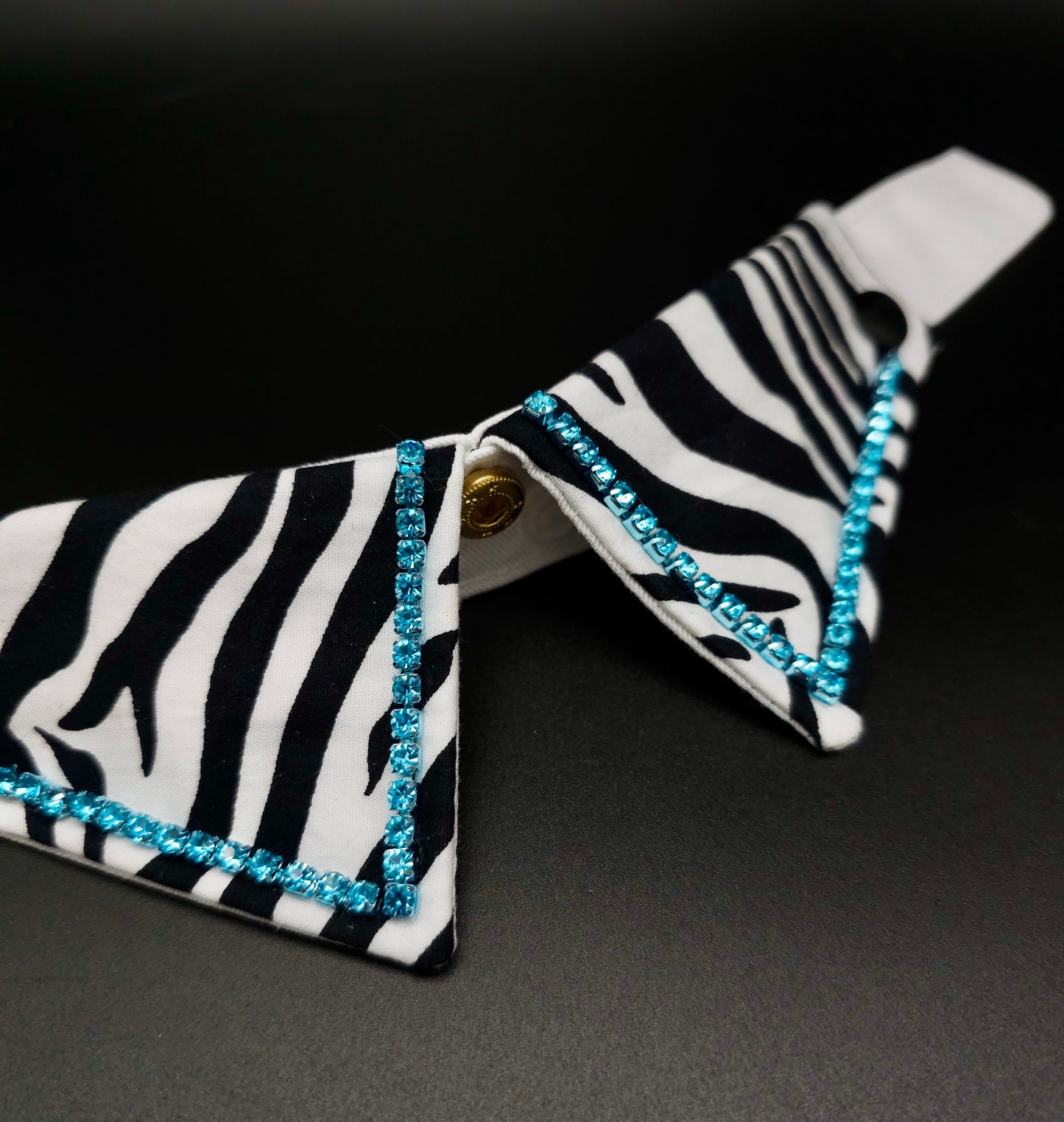 Acqua Zebra collar ONLY - The interchangeable System