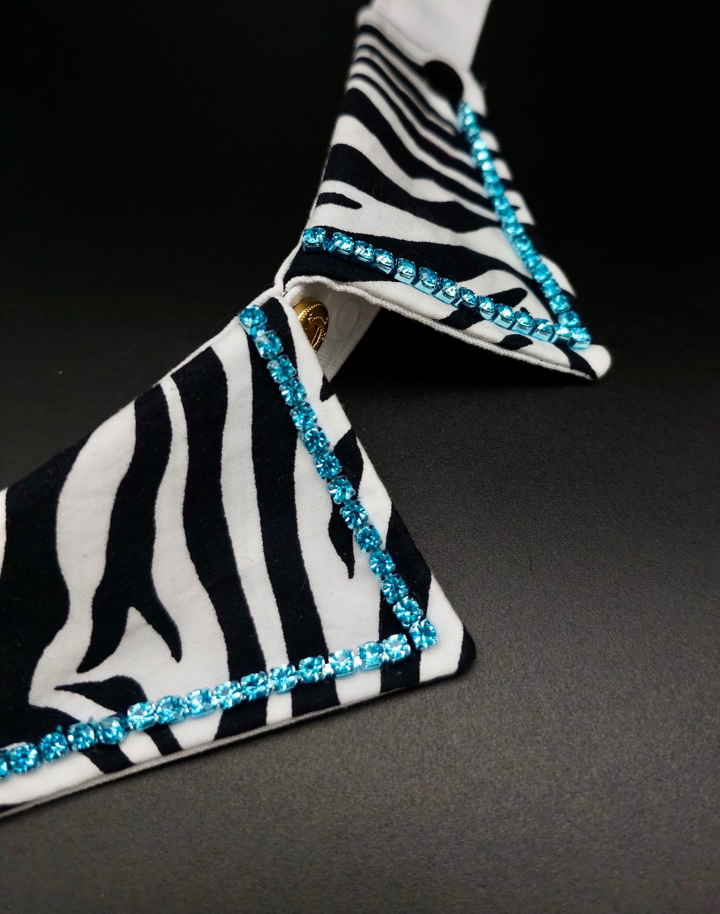 Acqua Zebra collar ONLY - The interchangeable System