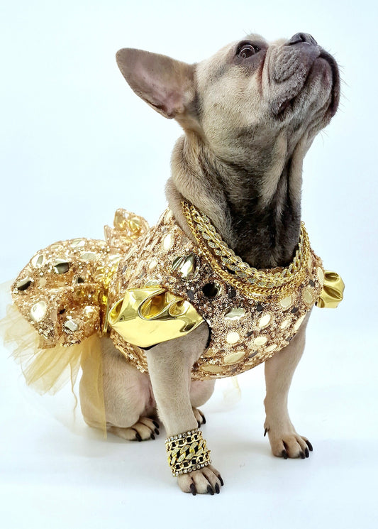 Night at the Oscars dress - Limited Edition